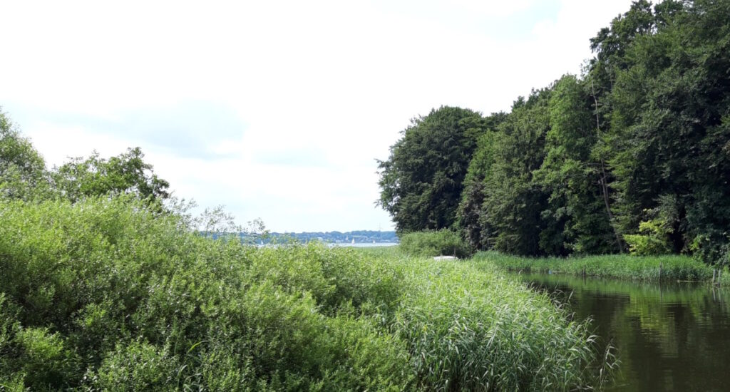 Die Mündung der Füsinger (Loiter) Au in die Schlei. Hier lag der wikingerzeitliche Handelsplatz Füsing.