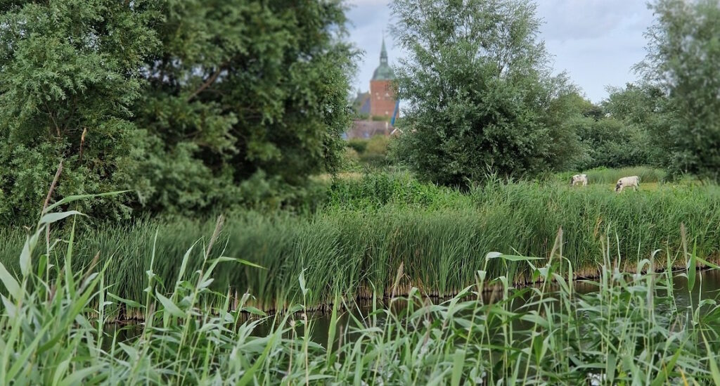 Blick auf Fehmarns Nikolai Kirche über einen Teich.