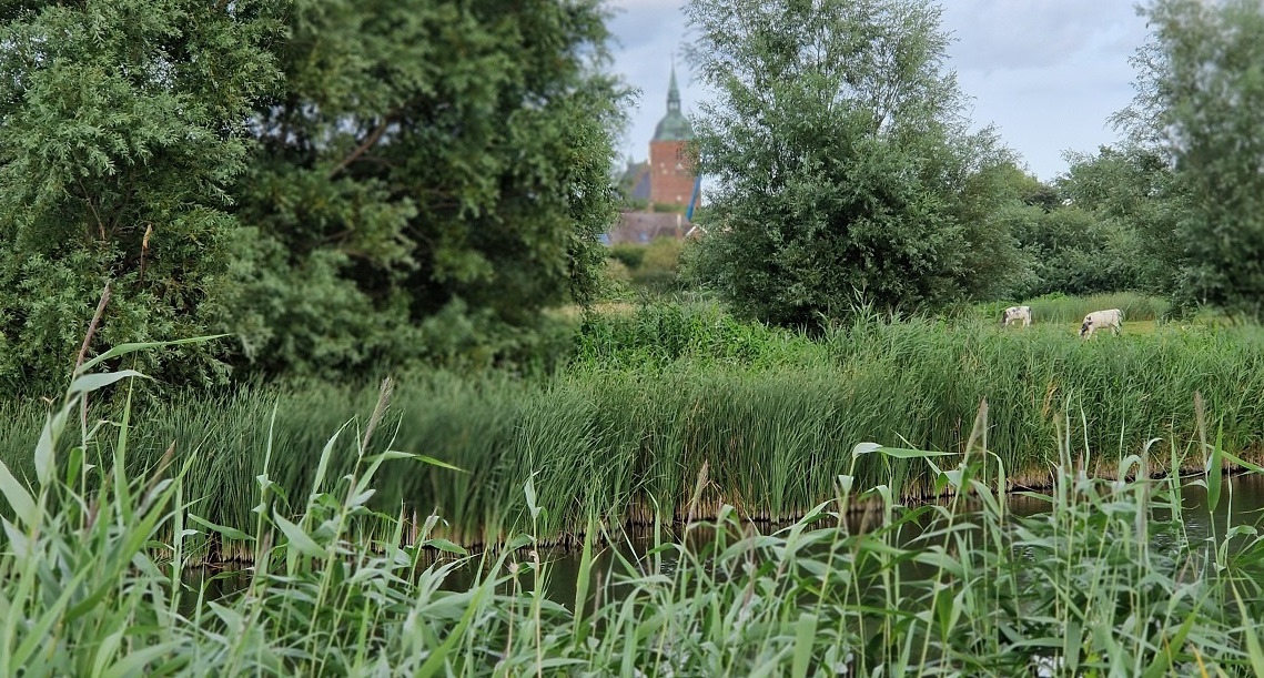 Blick auf Fehmarns Nikolai Kirche über einen Teich.